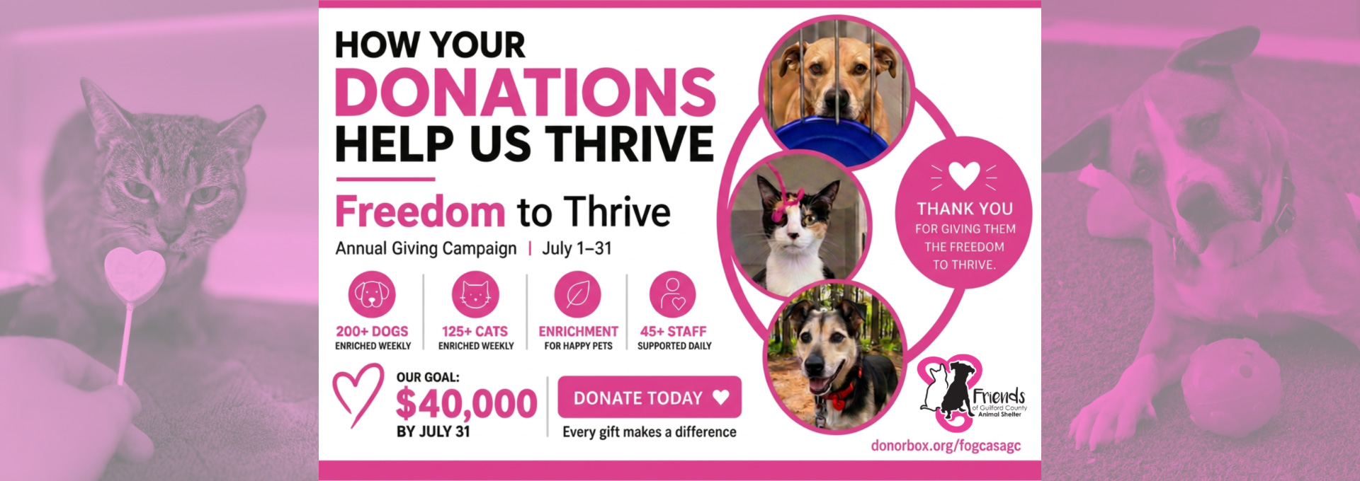 How Your Donations Help Us Thrive